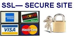 This site is secured so you can trust your credit card number will be protected(encrypted with SSL)